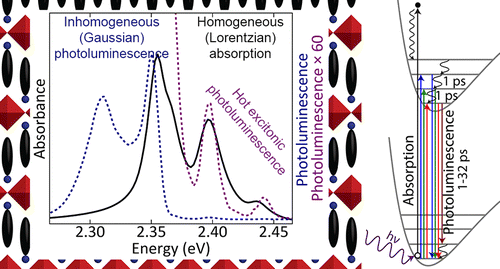 Direct Observation of Electron–Phonon Coupling and Slow Vibrational Relaxation in Organic–Inorganic Hybrid Perovskites
