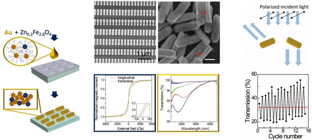 mixed superparamagnetic plasmonic superparticles