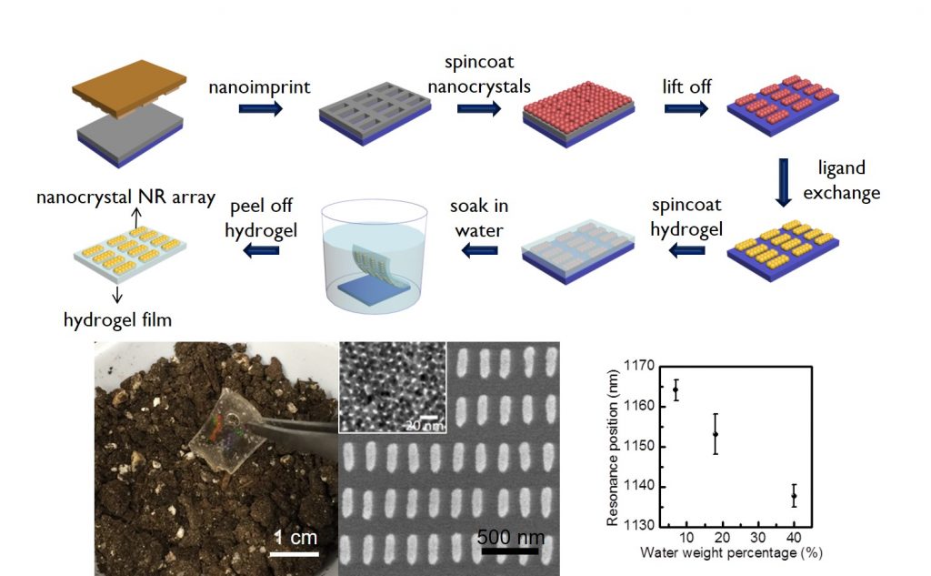 plasmonic hydrogel moisture sensor