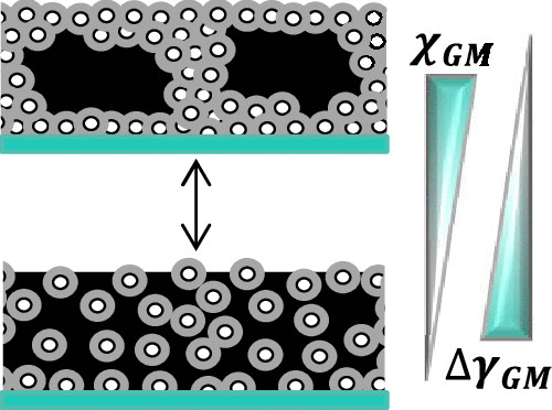 Grafted Nanoparticle Surface Wetting during Phase Separation in Polymer Nanocomposite Films