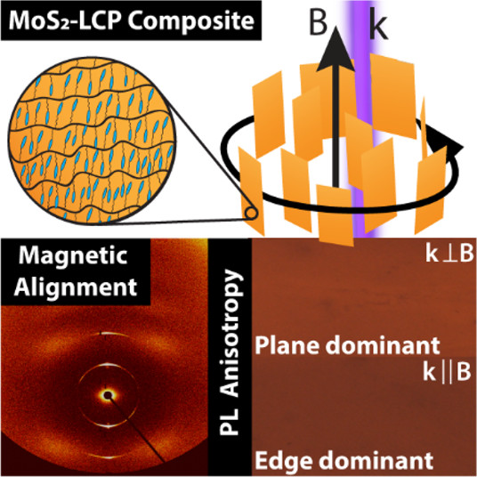 Magnetic Field Alignment and Optical Anisotropy of MoS2 Nanosheets Dispersed in a Liquid Crystal Polymer