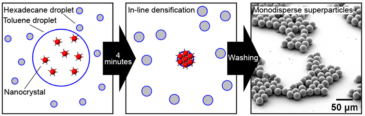 Monodisperse Nanocrystal Superparticles through a Source–Sink Emulsion System