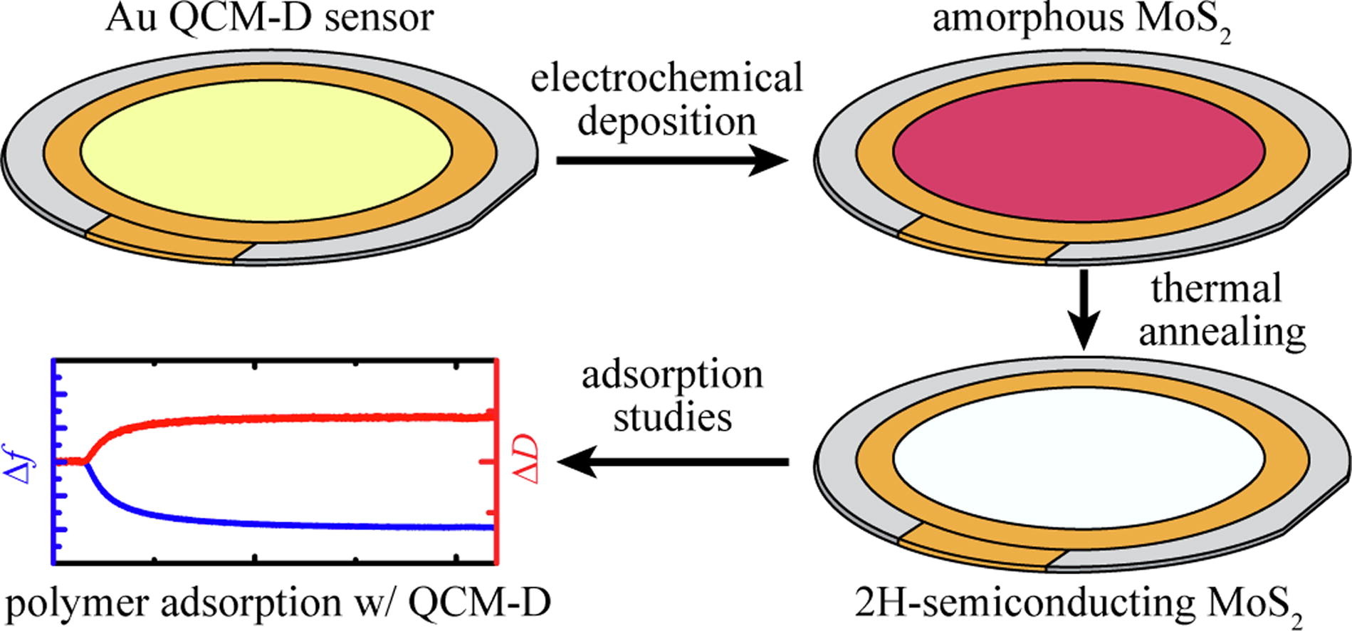 Electrochemically deposited molybdenum disulfide surfaces enable polymer adsorption studies using quartz crystal microbalance with dissipation monitoring (QCM-D)