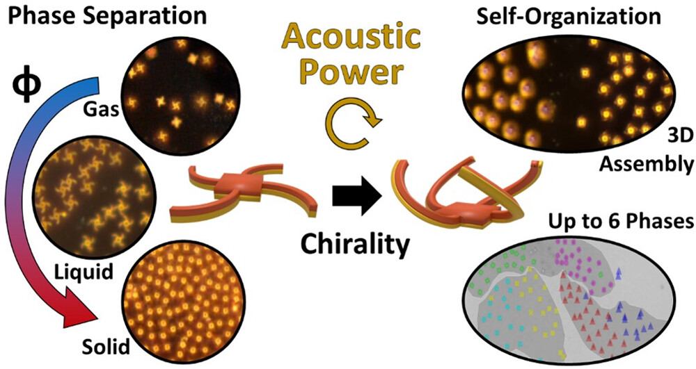 Three-Dimensionally Complex Phase Behavior and Collective Phenomena in Mixtures of Acoustically Powered Chiral Microspinners