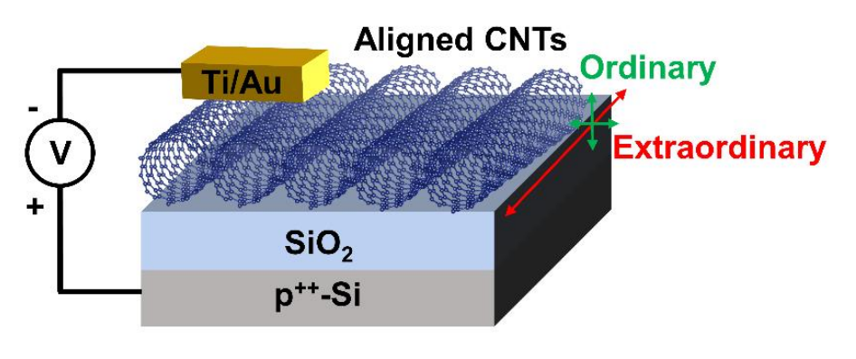 Gate-Tunable Optical Anisotropy in Wafer-Scale, Aligned Carbon Nanotube Films