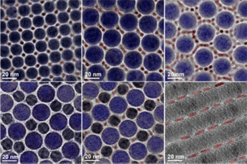 Binary and Ternary Superlattices Self-Assembled from Colloidal Nanodisks and Nanorods
