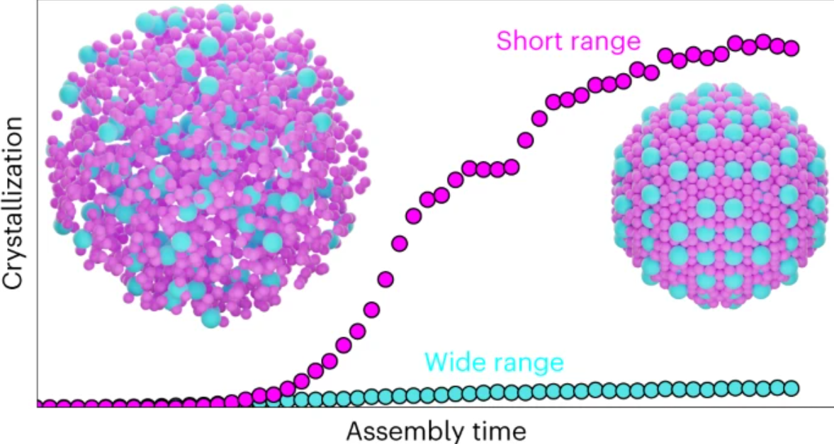Crystallization of binary nanocrystal superlattices and the relevance of short-range attraction