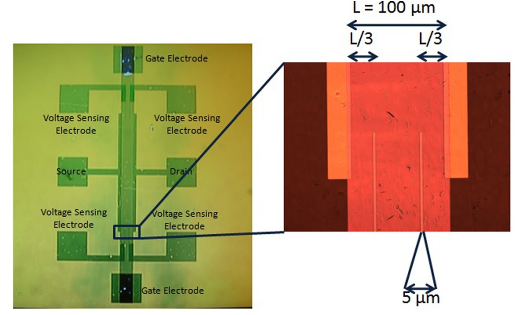 Electron and hole transport in ambipolar, thin film pentacene transistors 