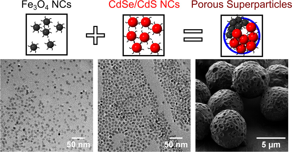 Porous Magneto-Fluorescent Superparticles by Rapid Emulsion Densification