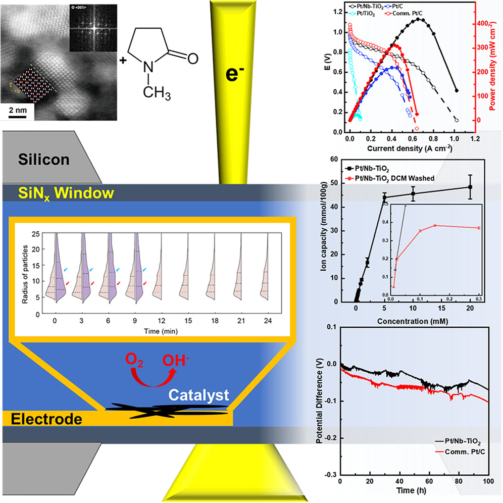 Stabilizing alkaline fuel cells with a niobium-doped brookite titanium dioxide catalyst support